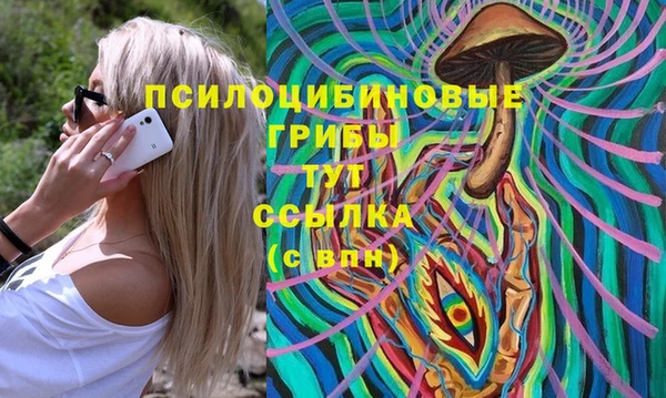 винт Алзамай