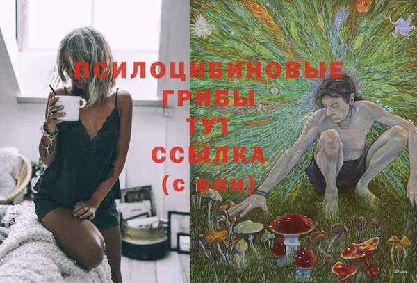 ГАЛЛЮЦИНОГЕННЫЕ ГРИБЫ Алексеевка