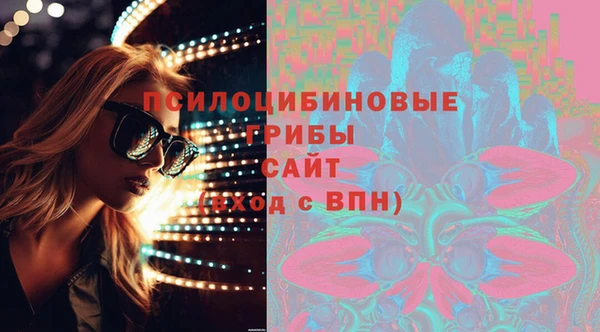 ГАЛЛЮЦИНОГЕННЫЕ ГРИБЫ Алексеевка