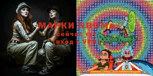 винт Алзамай