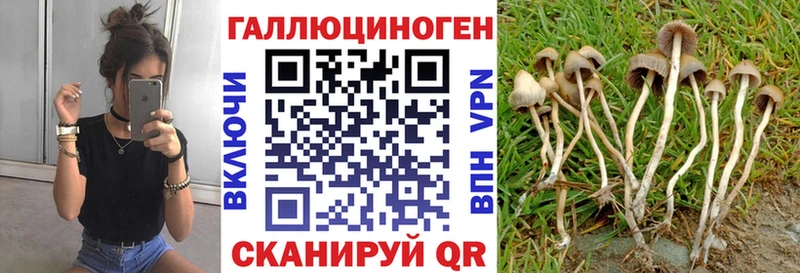 Псилоцибиновые грибы GOLDEN TEACHER  Ивдель 
